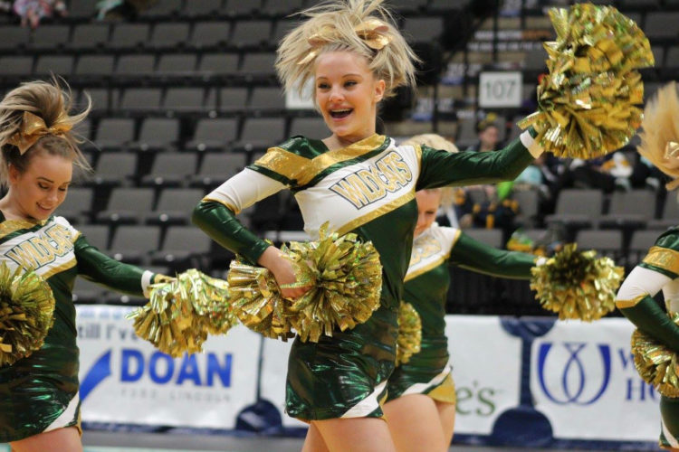 2017 OVAC Cheerleading Championships